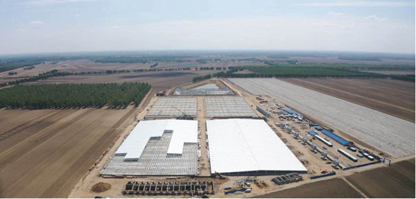 新希望康平那场育肥场